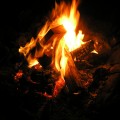 Back Country Fun & Food!