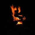 Back Country Fun